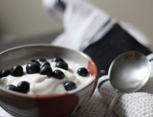 bowl of plain yogurt with blueberries thumbnail