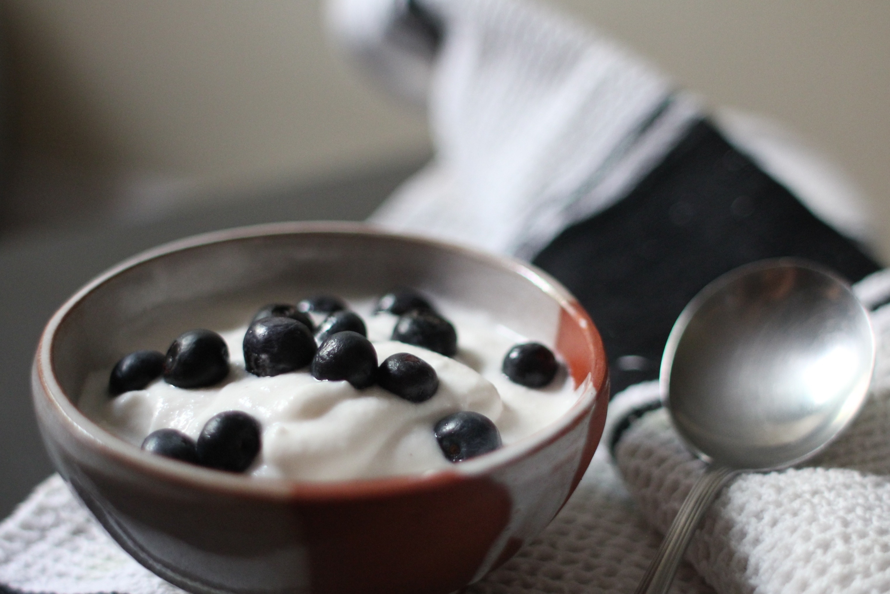 bowl of plain yogurt with blueberries