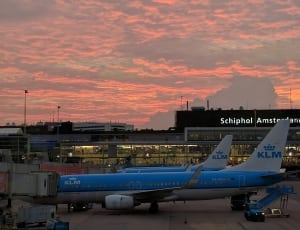 blue and whit klm plane thumbnail