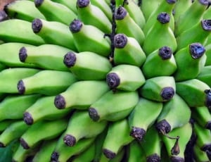 green and black bananas thumbnail