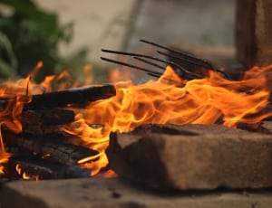 burning firewood thumbnail
