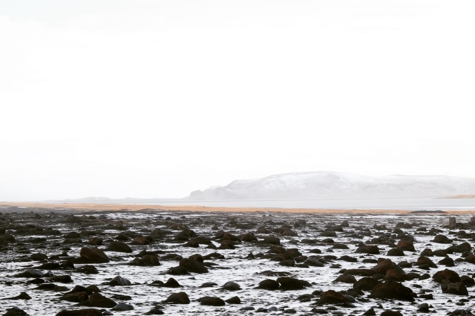 brown and black concrete rocks with body of water under cloudy sky preview