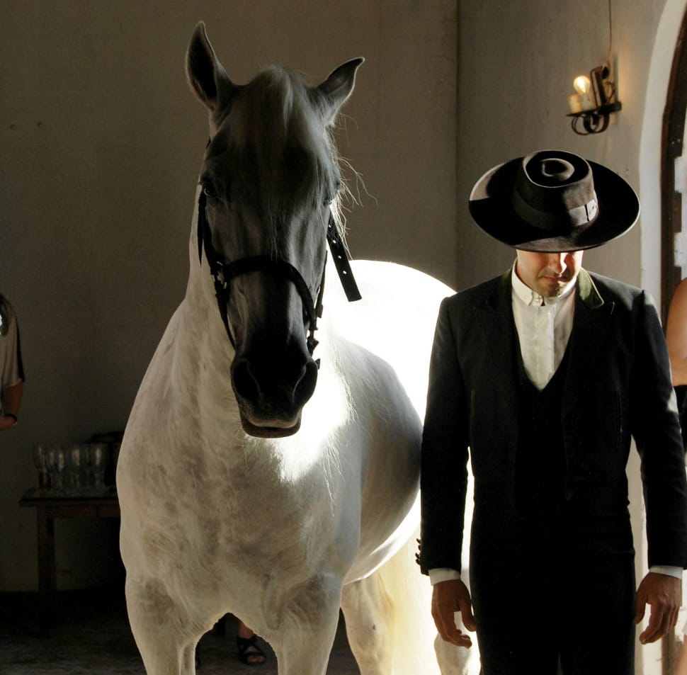 man in formal attire near white horse preview