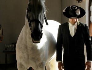 man in formal attire near white horse thumbnail