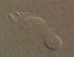 footprints in the sand illustration thumbnail