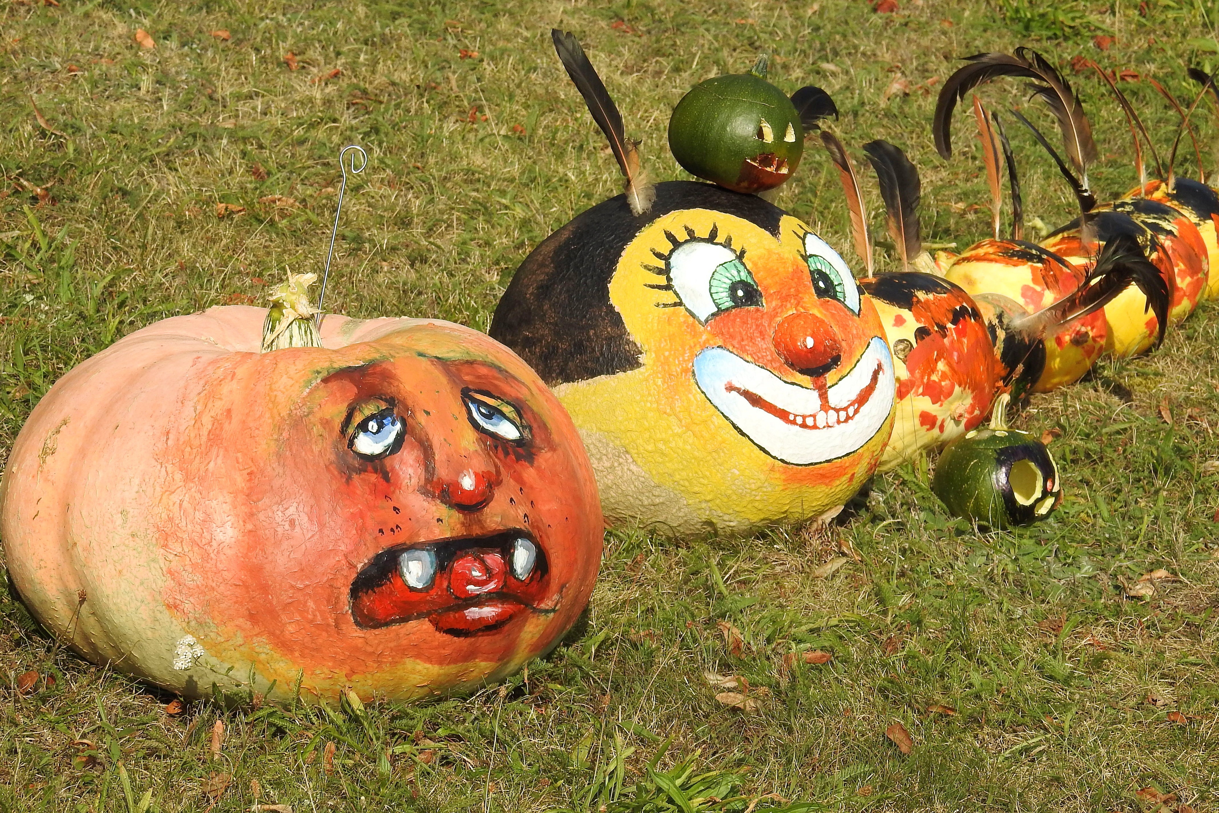 pumpkins and melons with clown faces