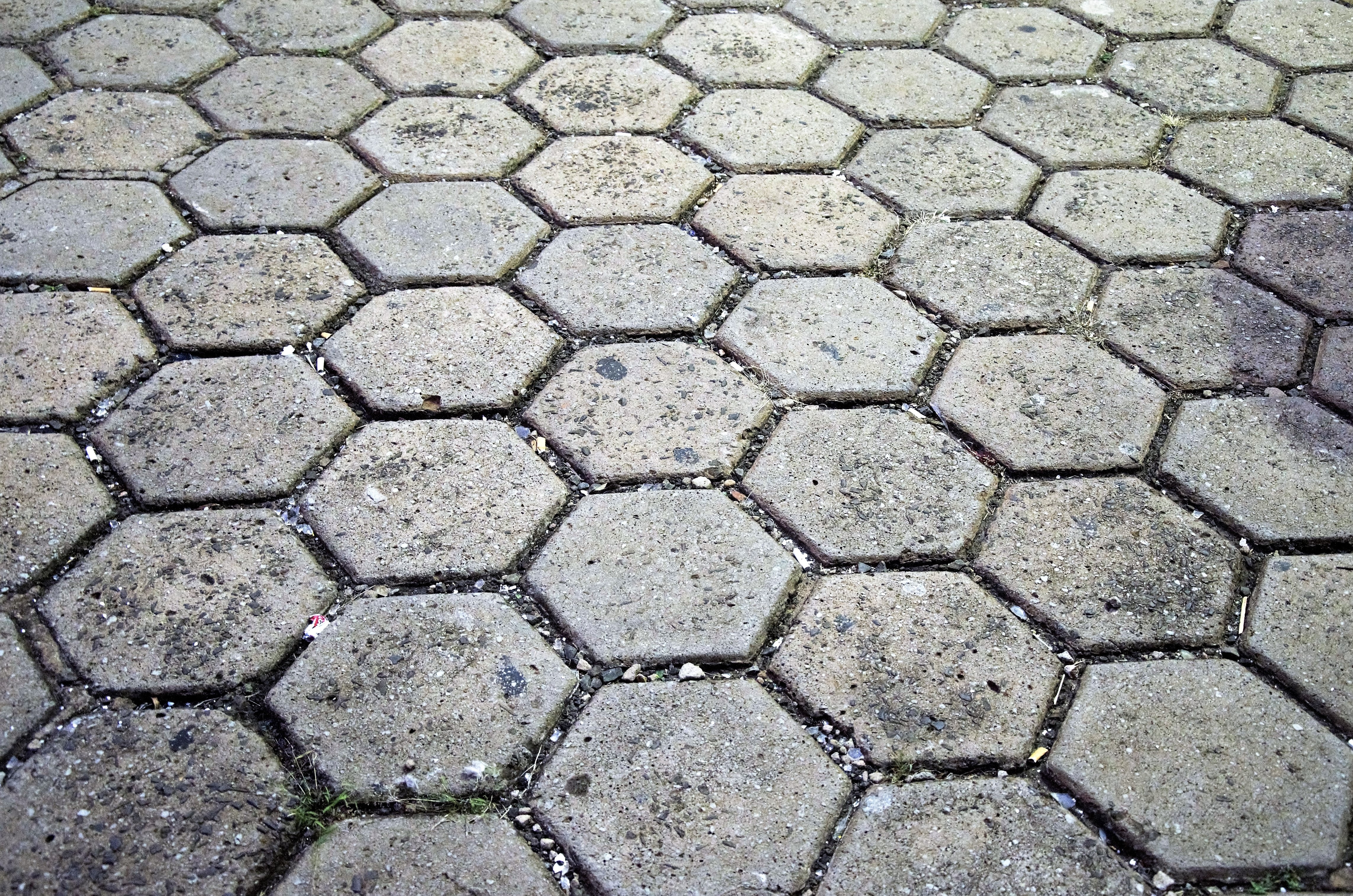 grey concrete bricks walkway