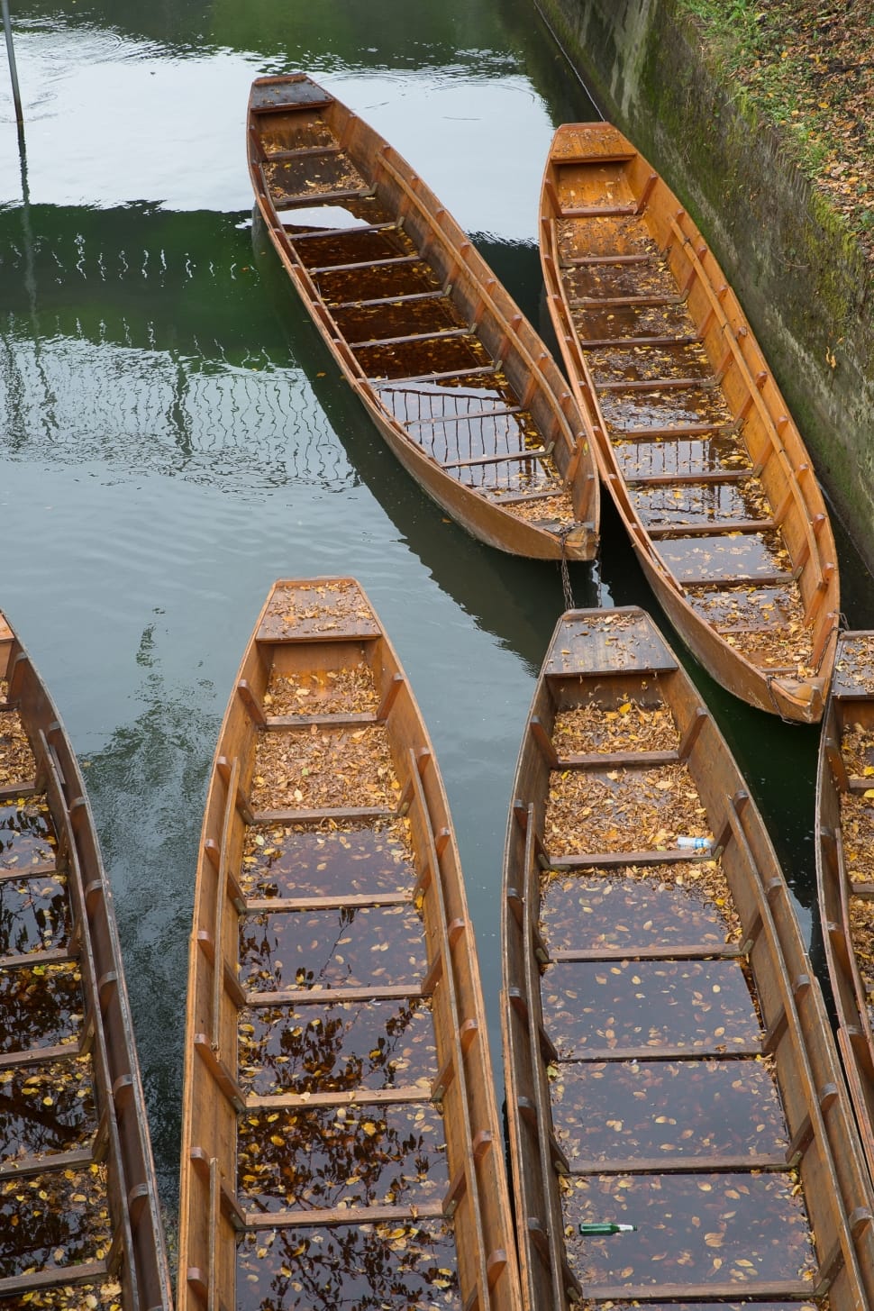 six wooden canoes preview