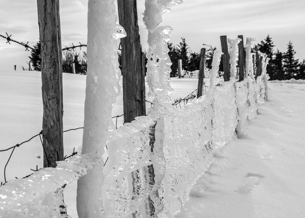 snow covered barbwire preview
