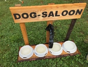 brown wooden dog saloon pet feeder thumbnail