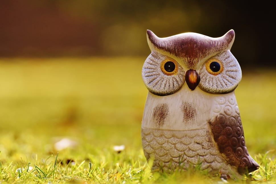 white and brown owl figurine preview