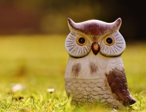 white and brown owl figurine thumbnail