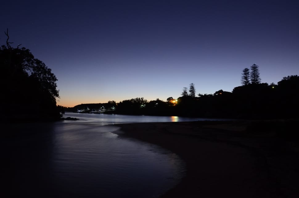 trees near lake during nighttime preview