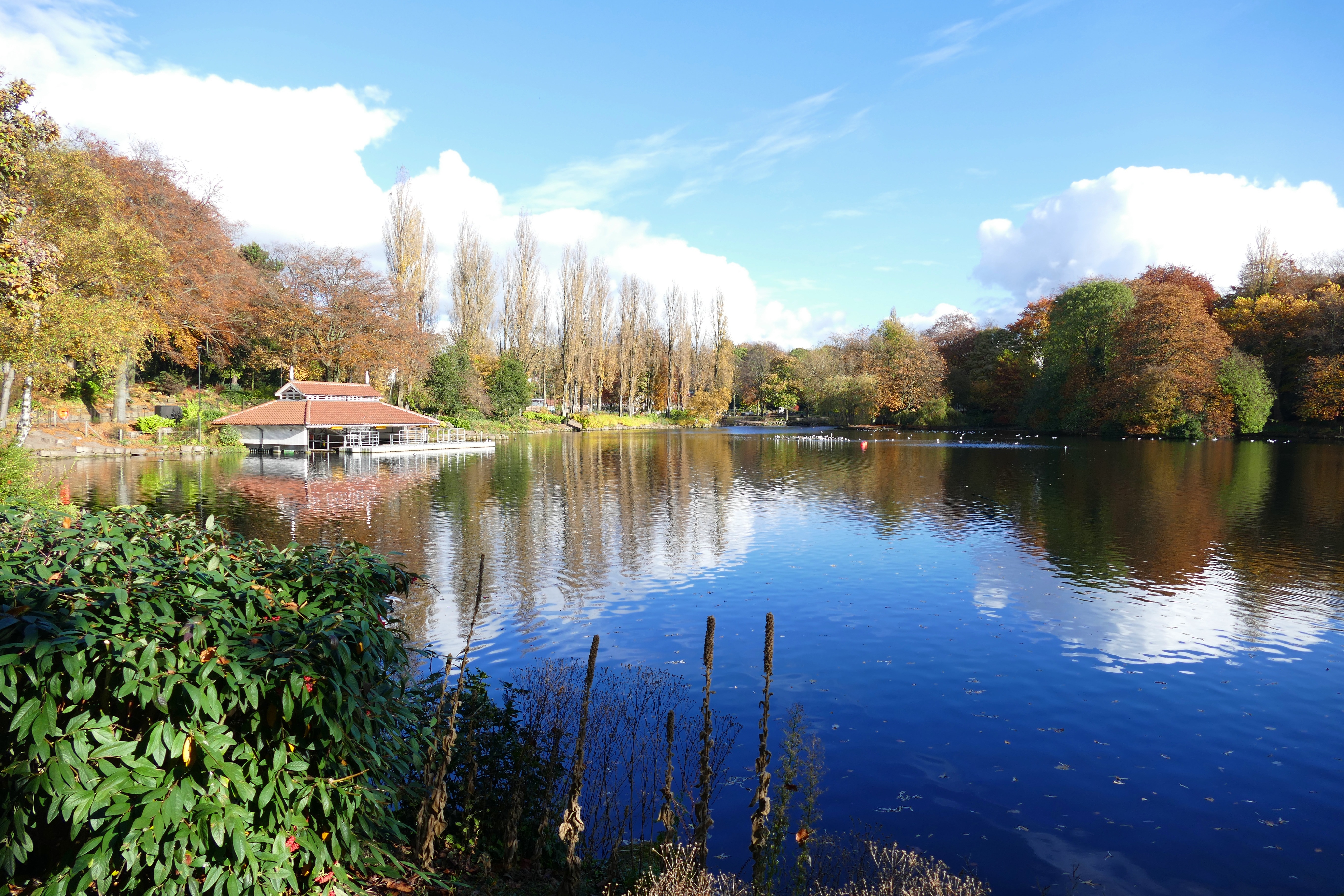 Озеро в городе озеры. Озеро Вест Уотер. The Midlands пейзажи. Город на озере фото. Городок у озера.