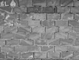 grayscale photo of brick wall thumbnail