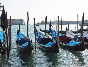 canoes on body of water during day thumbnail