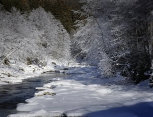 body of water near snowland and trees thumbnail