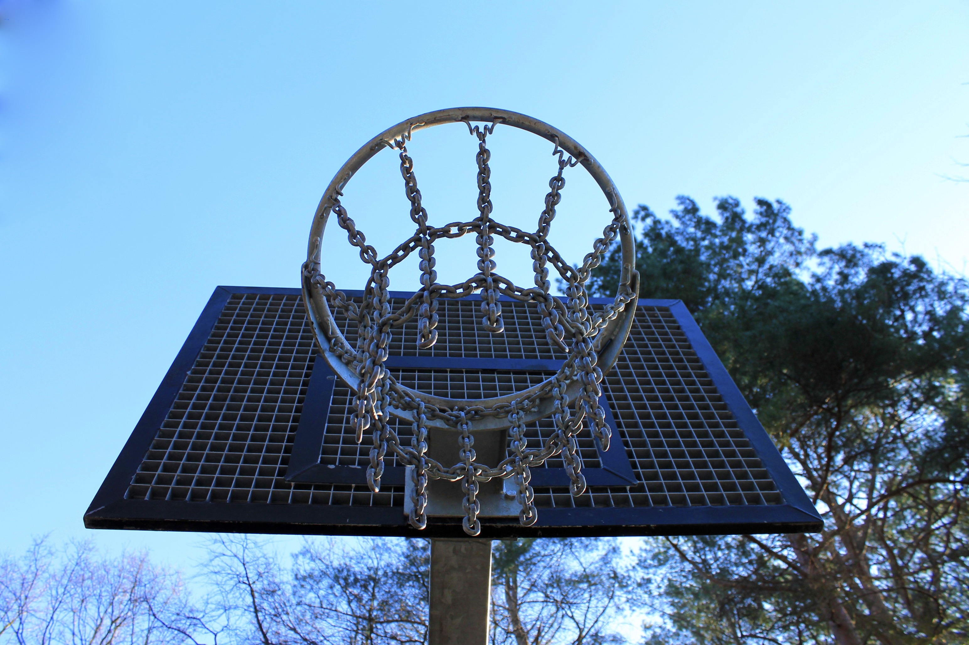 silver blue and black basketball hoop