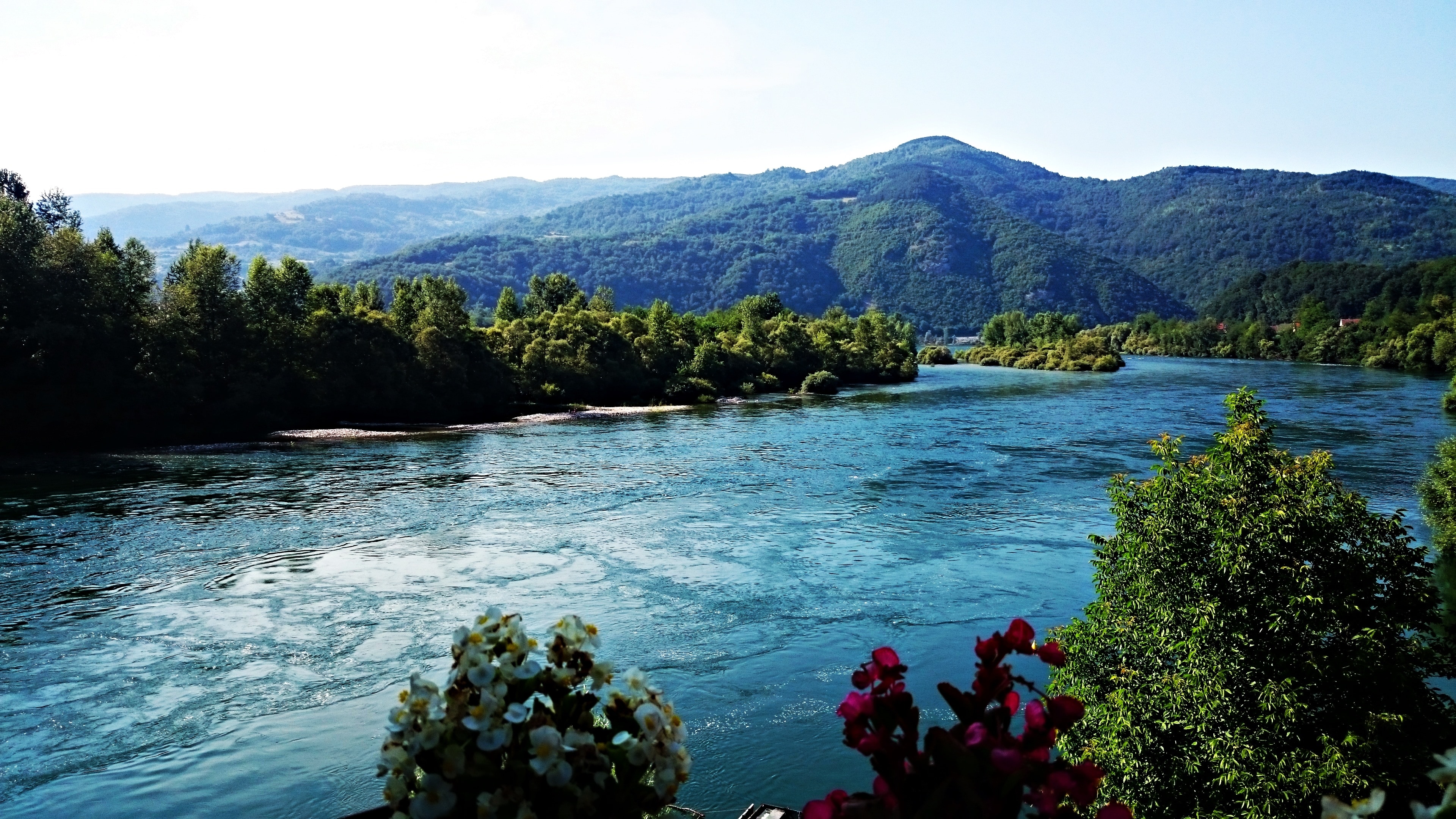 River, Nature, Serbia, tree, mountain