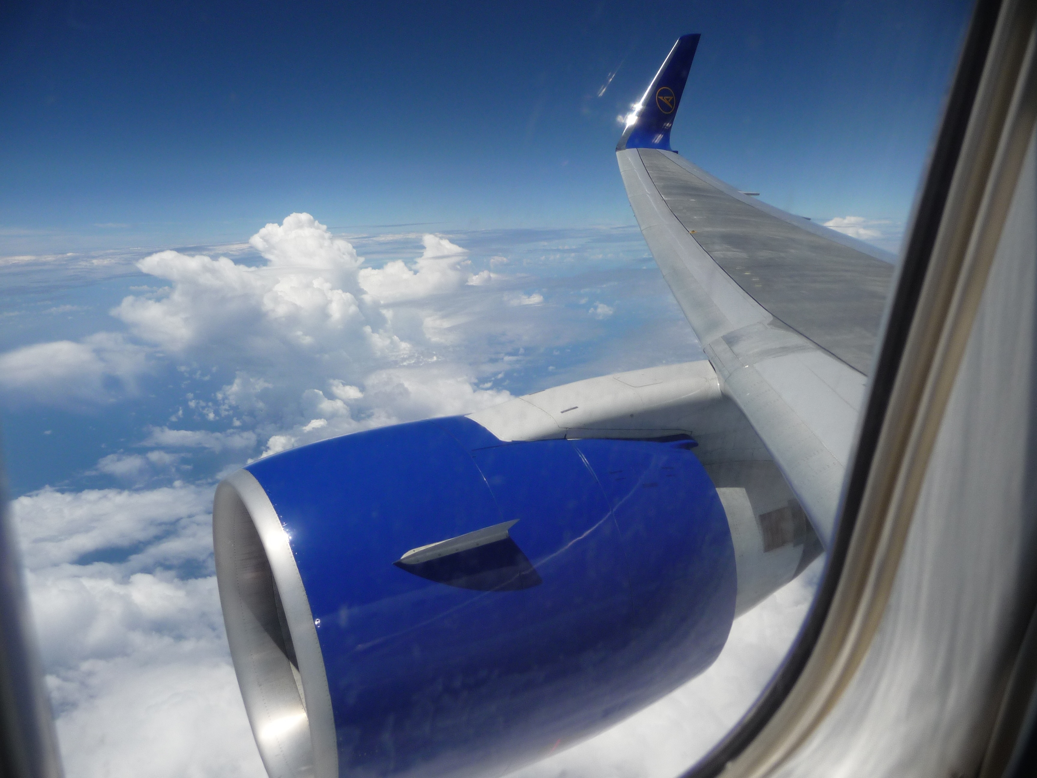 blue and white air plane wing