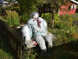 scarecrow sitting on wooden bench beside silver milk can thumbnail