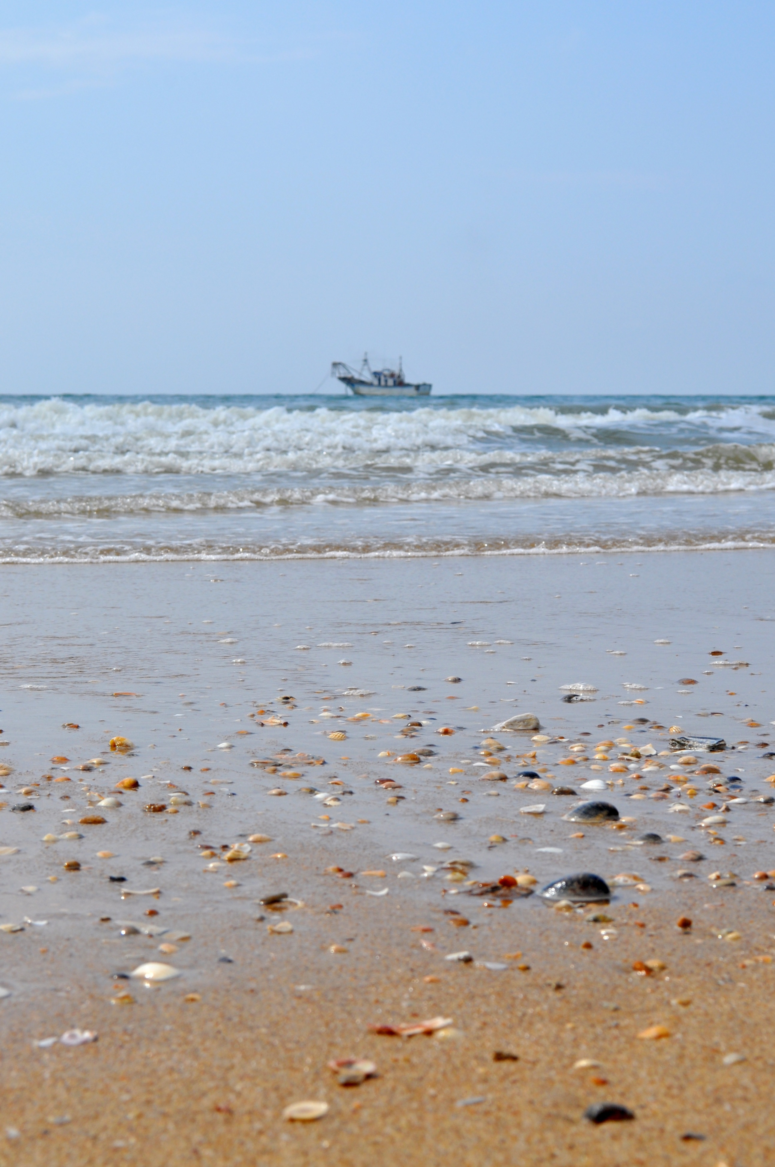 sea shells beside sea overlooking fishing vessel under blue sky during daytime
