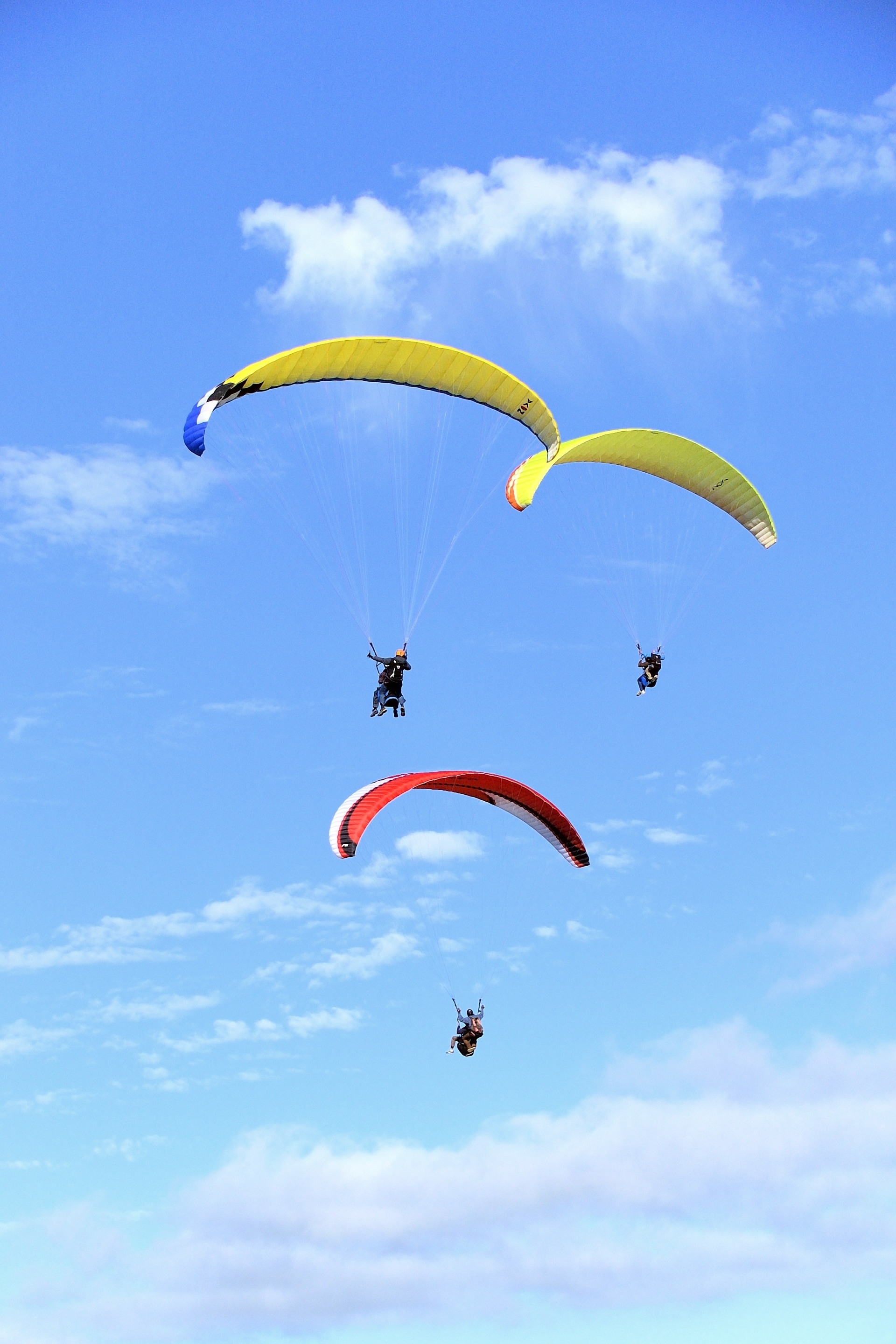 3 paragliders in the air