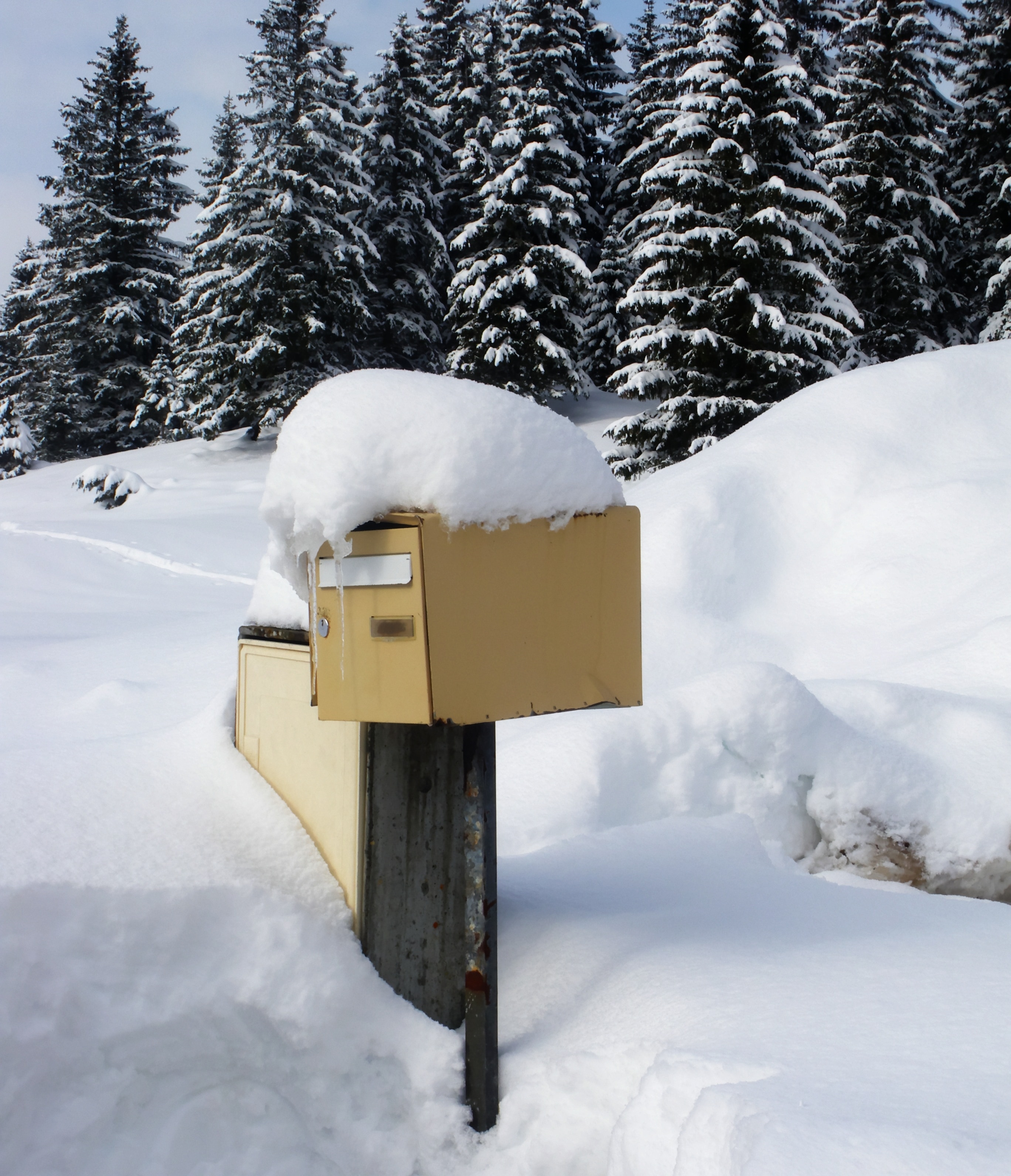 brown wooden mailbox