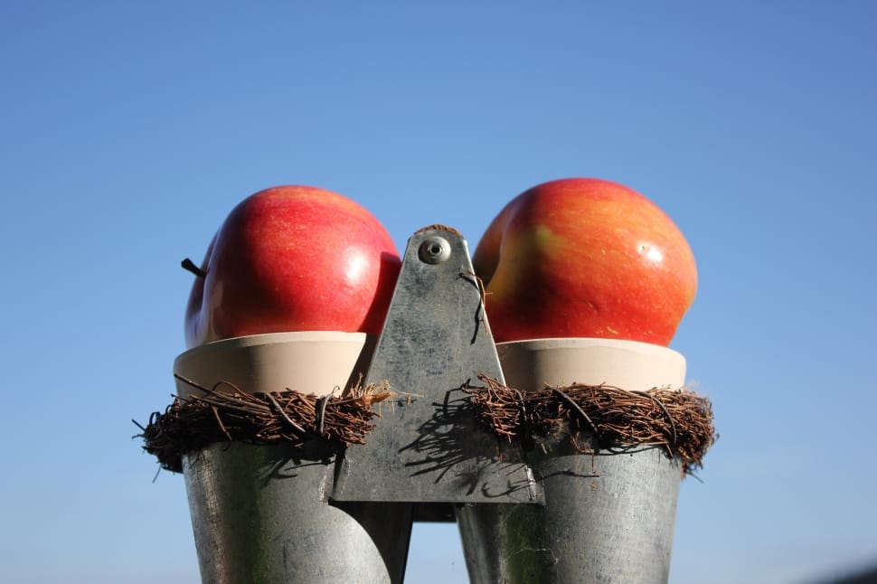 2 red apples preview