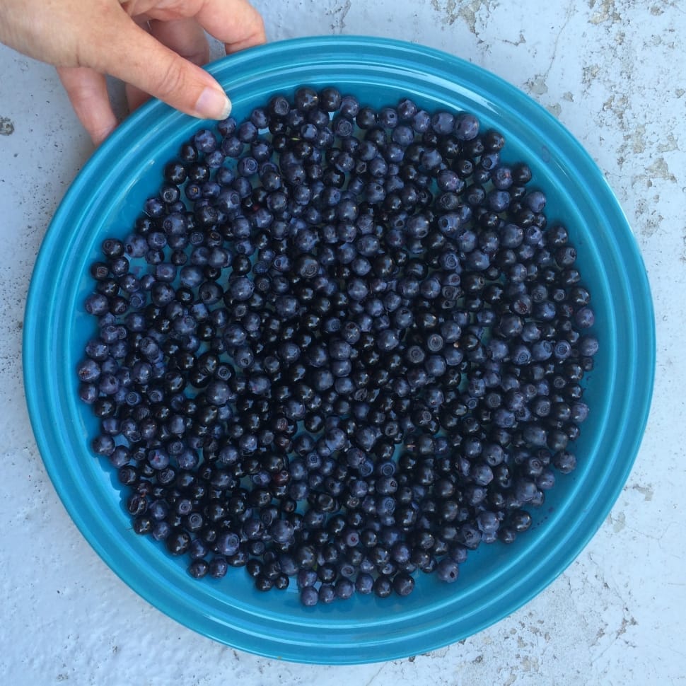 blueberries preview