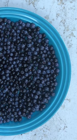 blueberries thumbnail