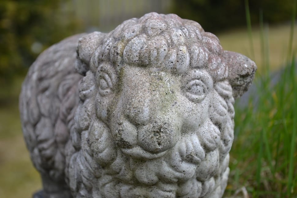 gray concrete sheep statue preview