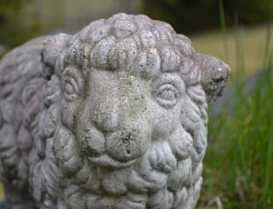 gray concrete sheep statue thumbnail