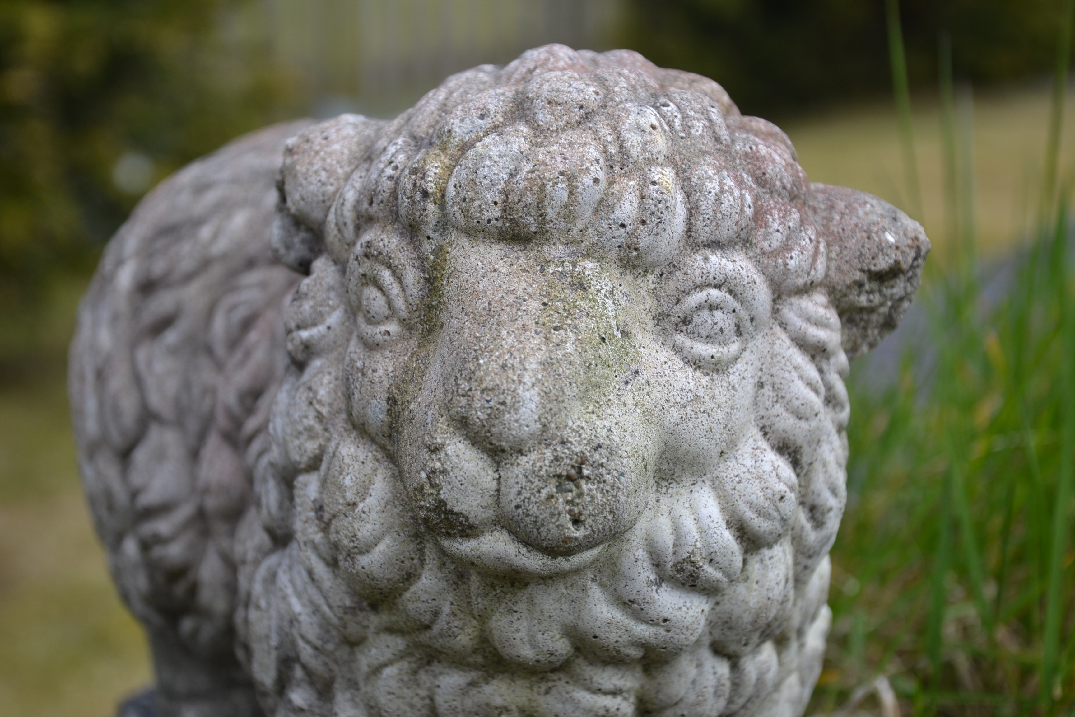 gray concrete sheep statue