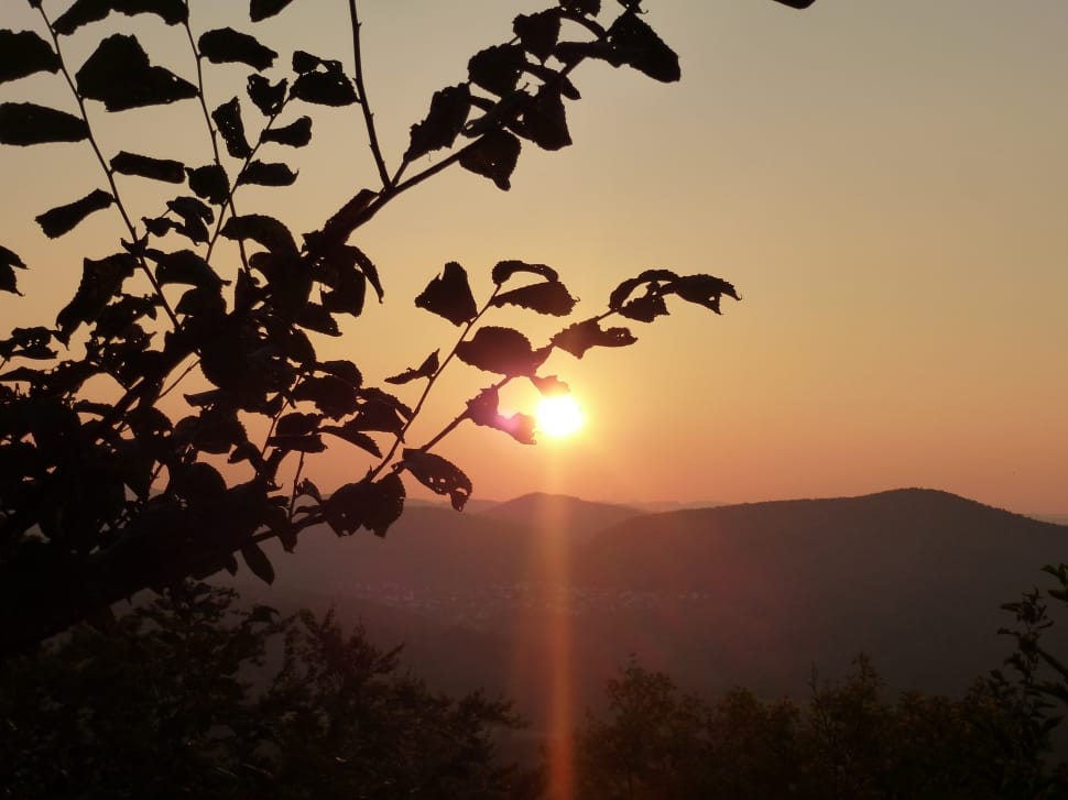 silhouette image of tree and hills during sun set preview