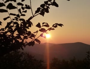 silhouette image of tree and hills during sun set thumbnail