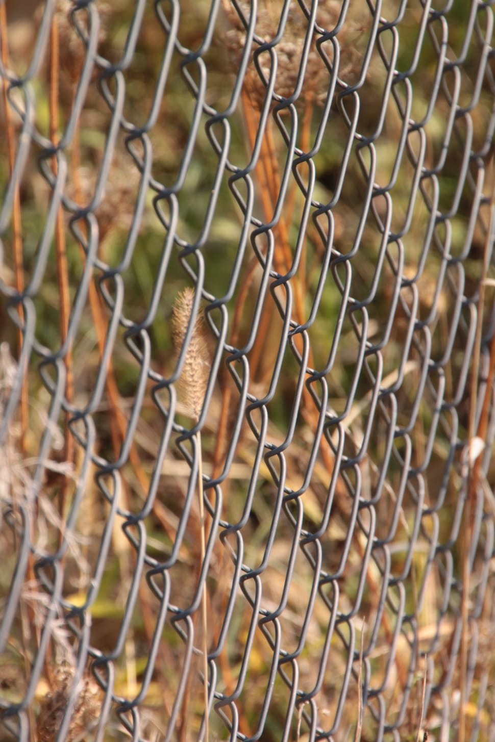 grey metal two link fence preview
