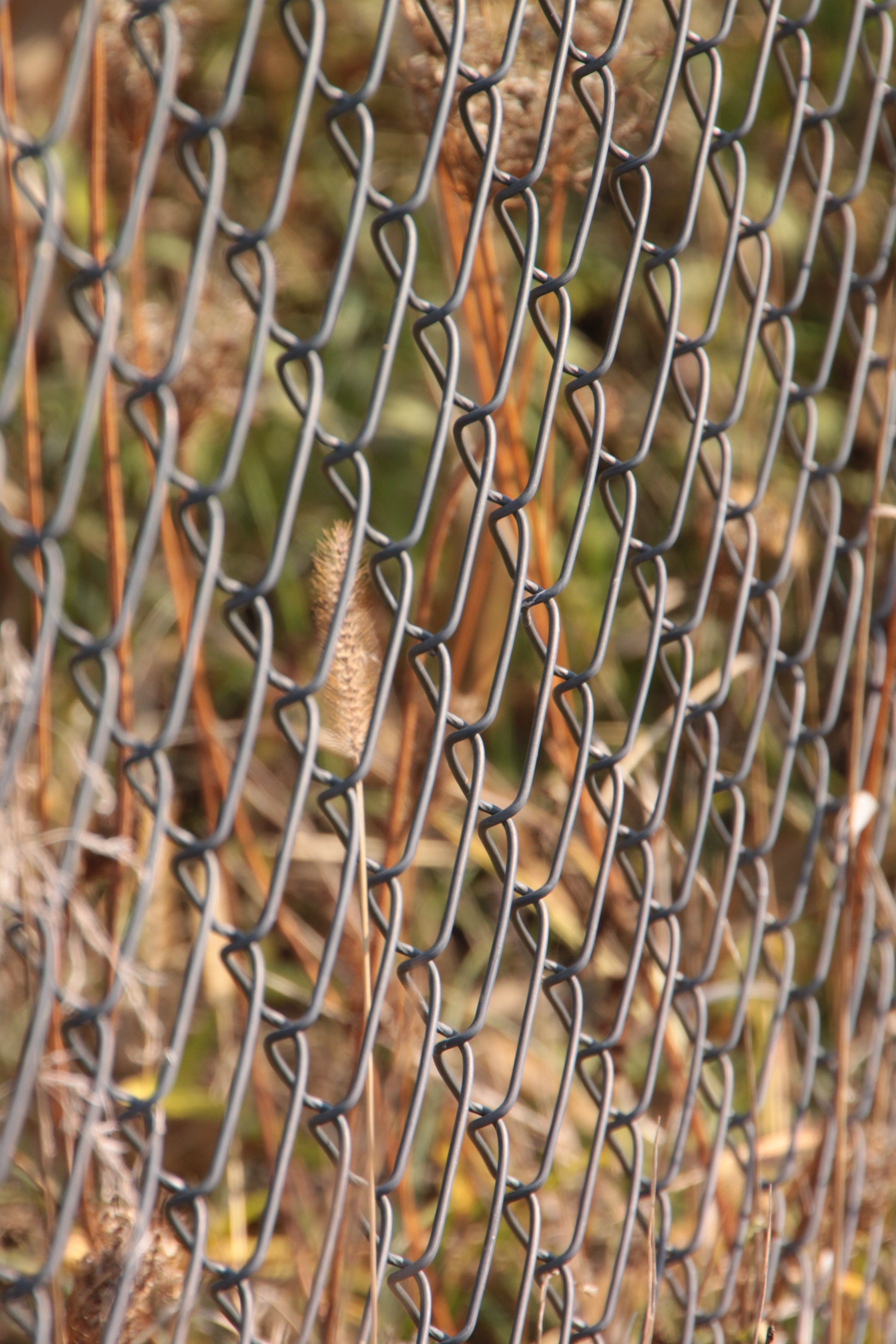 grey metal two link fence