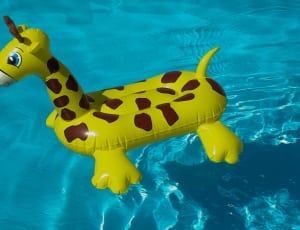 giraffe inflatable floater thumbnail