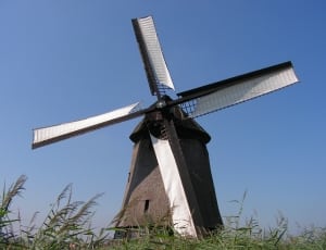 white and brown wind mill thumbnail
