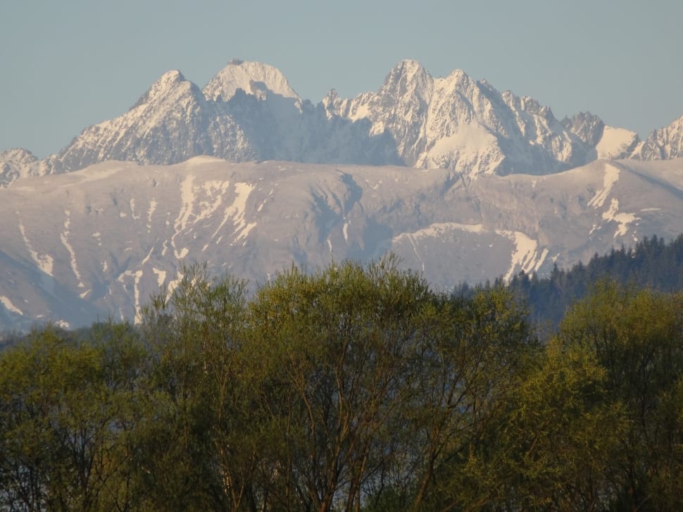 snow covered mountains near green forest preview