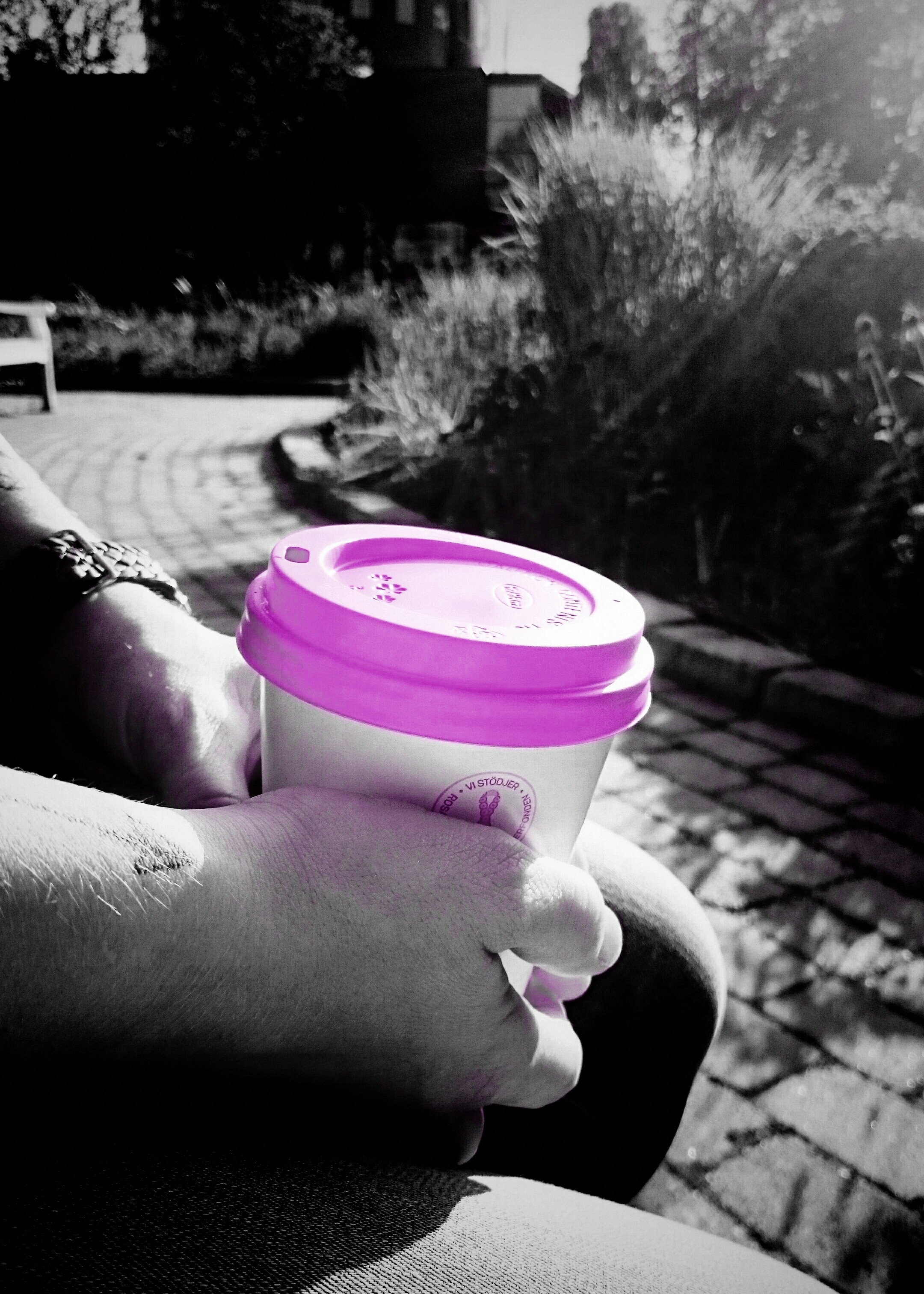 purple and white plastic cup