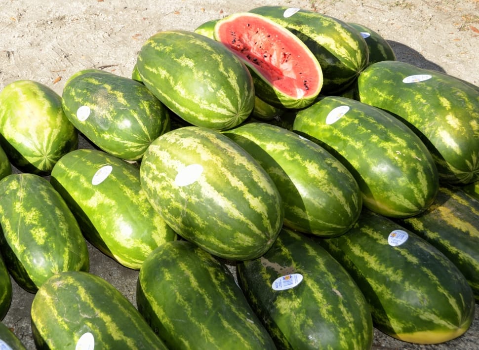 green watermelons preview