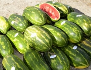 green watermelons thumbnail