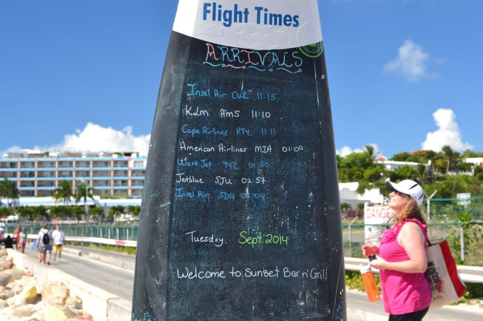 woman in pink tank top beside Flight times statue preview