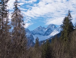 snow capped mountain near forest thumbnail