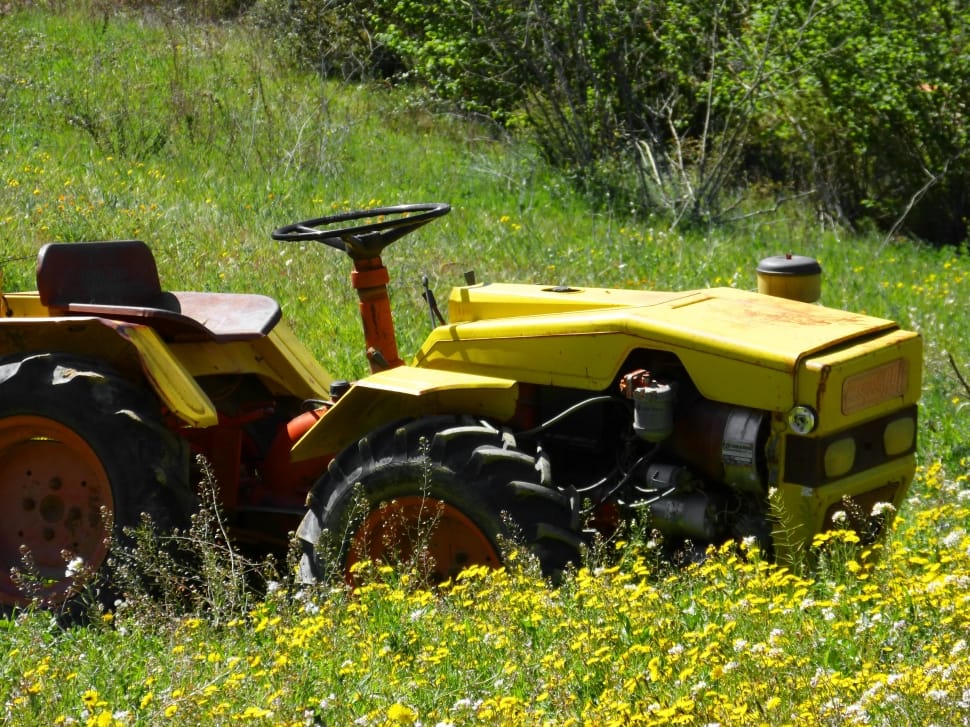 yellow, red, and black tractor in green grass preview