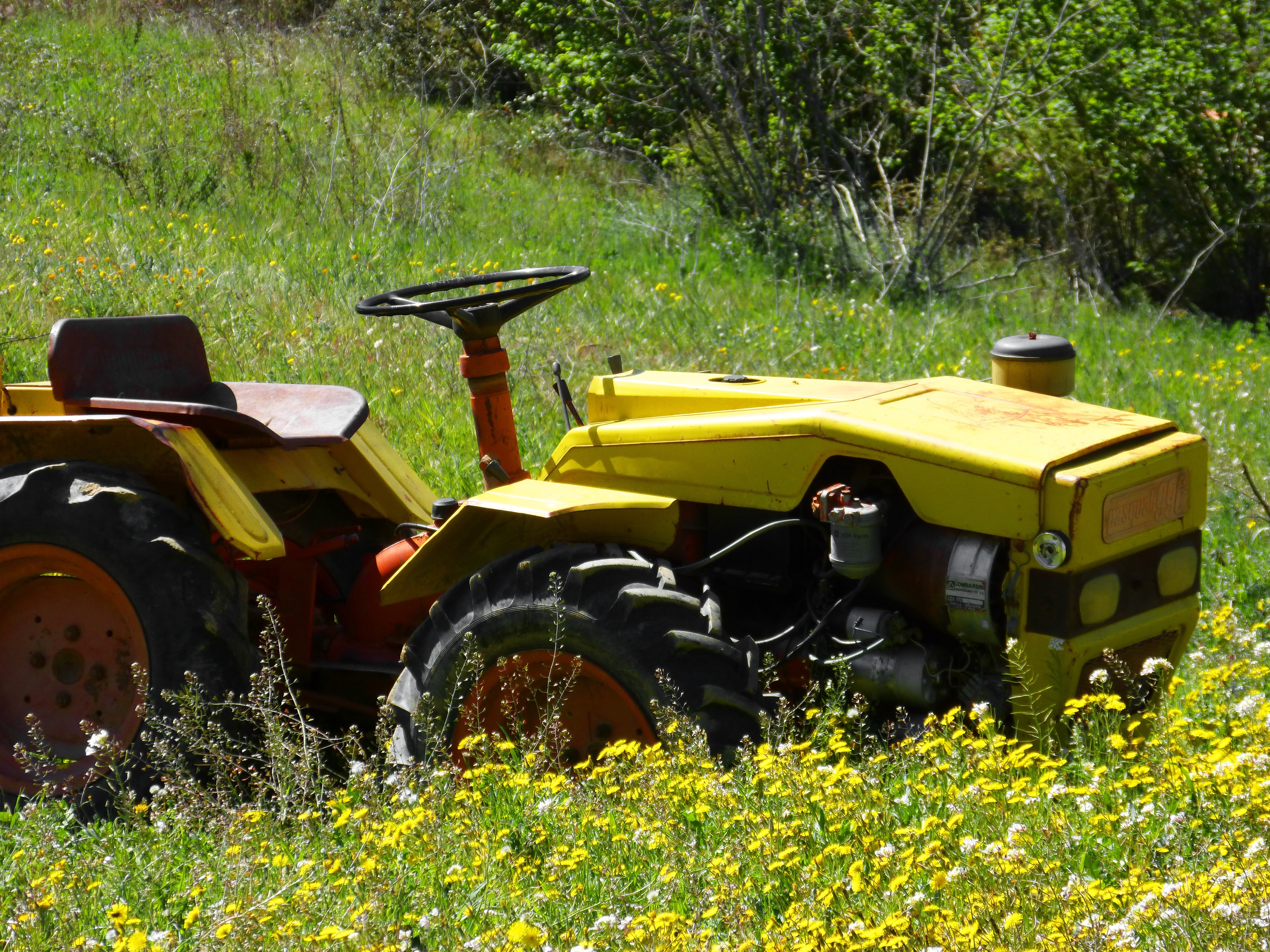 yellow, red, and black tractor in green grass