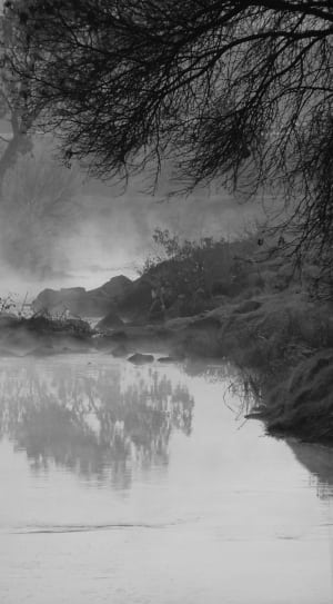 gray scale photo of foggy lake thumbnail