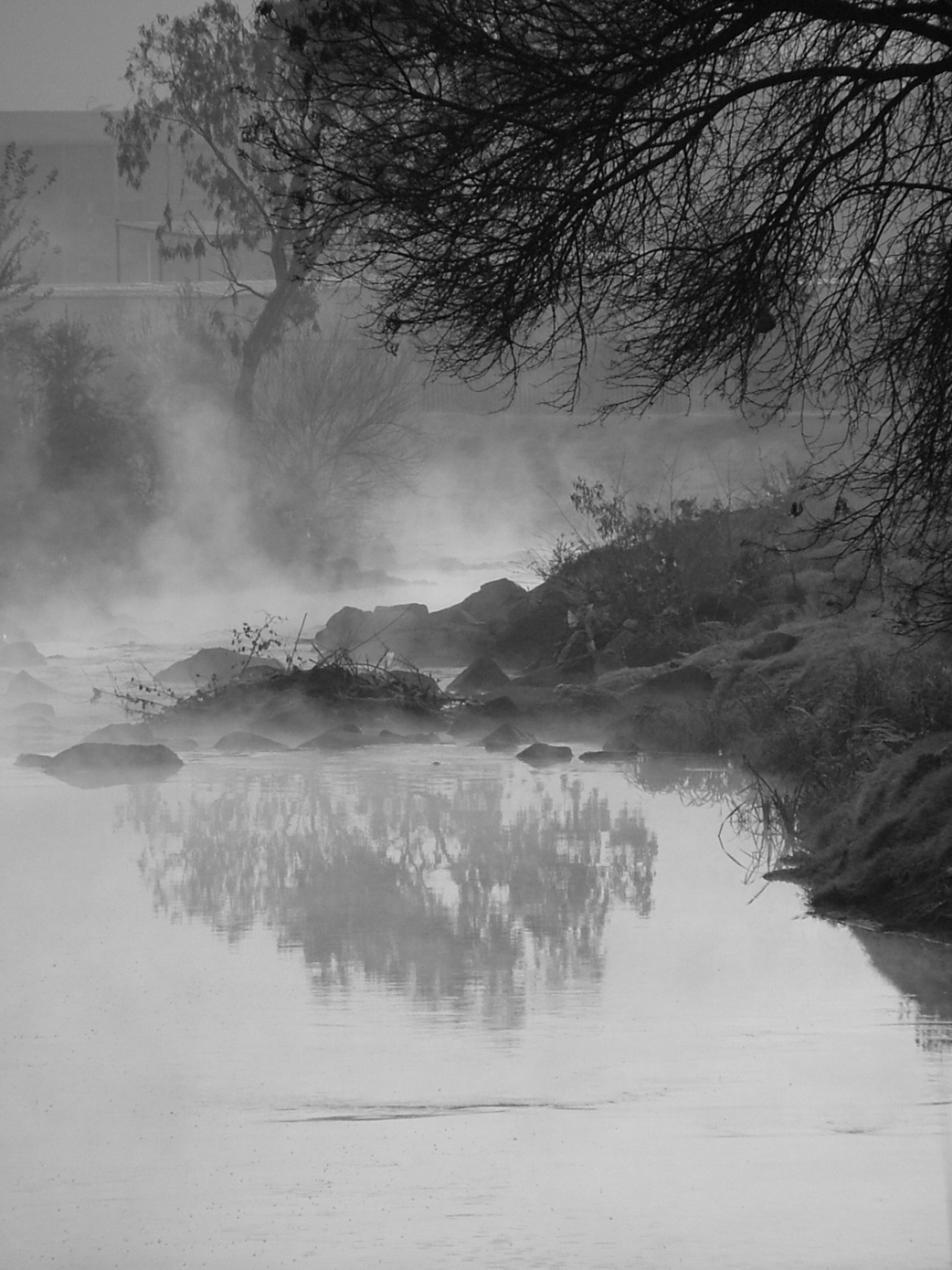 gray scale photo of foggy lake
